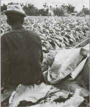 Where there's smoke, there's money Taiwan Today