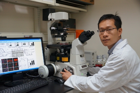 Taiwan Us Team Uses Vitamin E To Fight Cancer Today Taiwan Us Team Uses Vitamin E To Fight Cancer