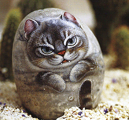 Henry Lee painted the cat on stone - Taiwan Today