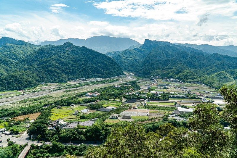 台三線「樟之細路」 浪漫與慢行的大道 台三線「樟之細路」 浪漫與慢行的大道圖片 - 新南向政策