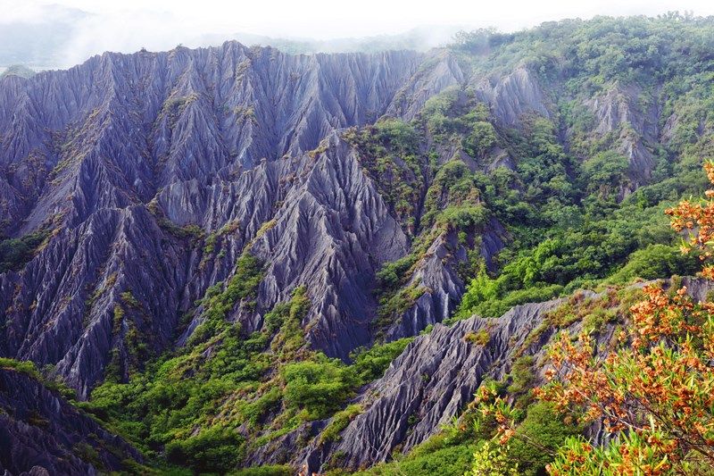 惡地結好果 利吉泥岩惡地 惡地結好果 利吉泥岩惡地圖片 - 新南向政策