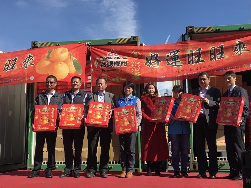 東勢椪柑外銷星馬 拓展海外市場 東勢椪柑外銷星馬 拓展海外市場圖片 - 新南向政策