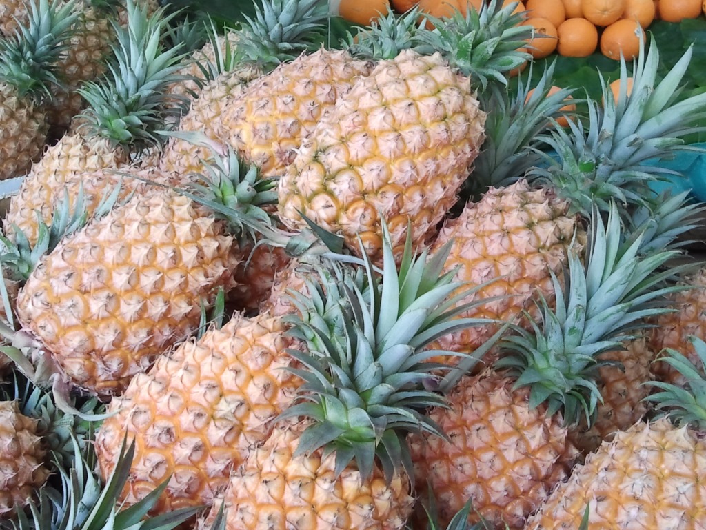 New Southbound Policy。Pineapples are one of the four fruit crops helping keep Taiwan’s agricultural exports on the growth track. (Staff photo/Meg Chang)