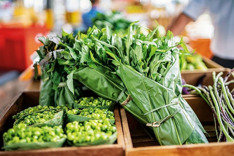 Goodbye to the Era of Plastic Tableware—Plastic Reduction from Farm to Dining Table Goodbye to the Era of Plastic Tableware—Plastic Reduction from Farm to Dining Table Photos - New Southbound Policy