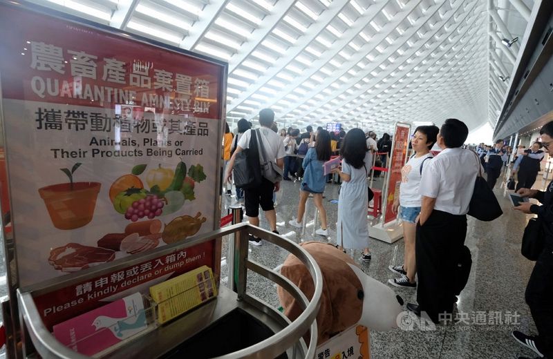 強化防疫 桃機6成8入境旅客手提行李檢查 強化防疫 桃機6成8入境旅客手提行李檢查圖片 - 新南向政策
