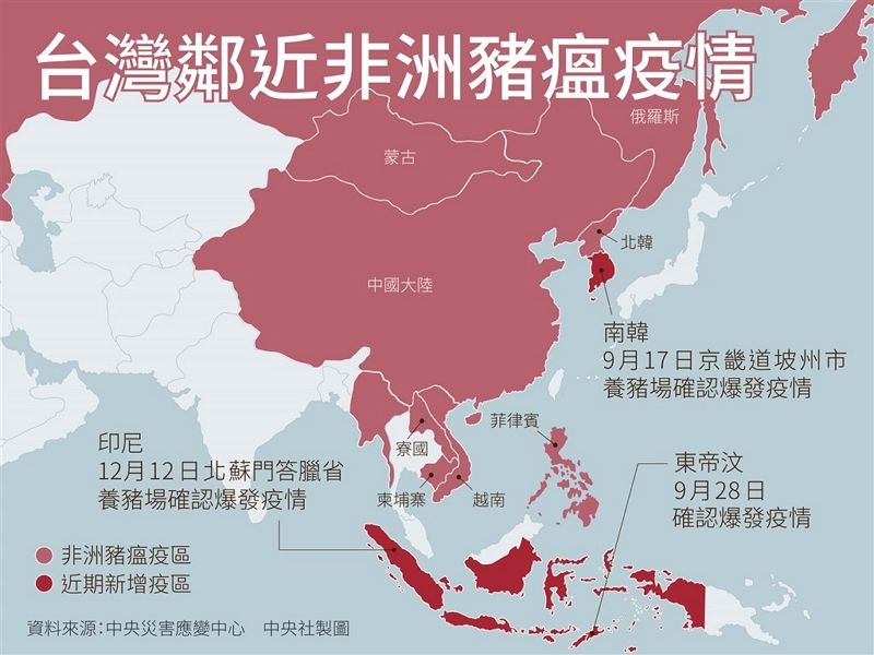 印尼官員證實爆發非洲豬瘟 近3萬頭豬隻死亡 印尼官員證實爆發非洲豬瘟 近3萬頭豬隻死亡圖片 - 新南向政策