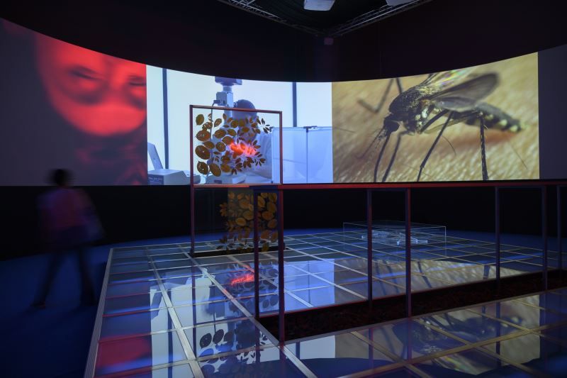 國美館亞洲藝術雙年展2月1至2日赴新加坡放映作品並進行交流 國美館亞洲藝術雙年展2月1至2日赴新加坡放映作品並進行交流圖片 - 新南向政策