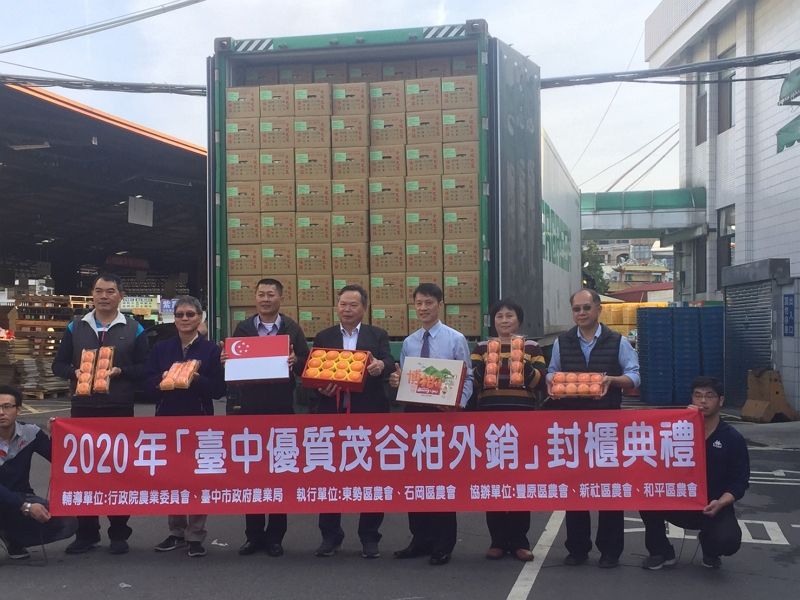 中市茂谷柑外銷新加坡 今封櫃啟航 中市茂谷柑外銷新加坡 今封櫃啟航圖片 - 新南向政策