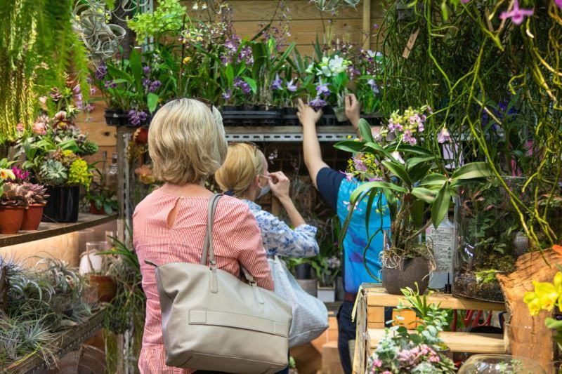 内政部発表、高度外国人材7人が中華民国国籍を取得 Taiwan Today