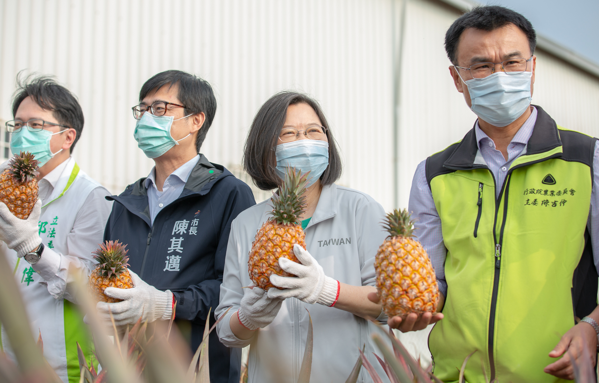 New Southbound Policy。President Tsai Ing-wen (second right) and COA Minister Chen Chi-chung (first right) are joined by officials at an event promoting locally grown pineapples Feb. 28 in southern Taiwan’s Kaohsiung City. (Courtesy of Presidential Office)