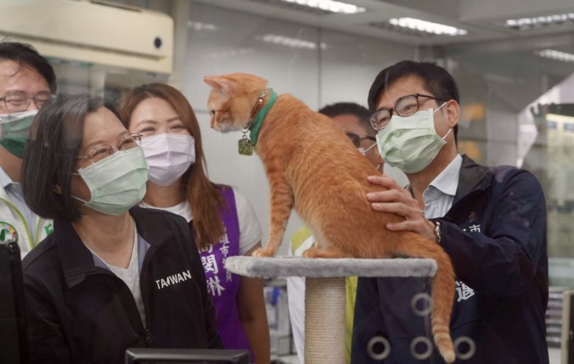 蔡総統も視察！高雄メトロ橋頭糖廠駅のネコ駅長「ミカン」 : Taiwan Today