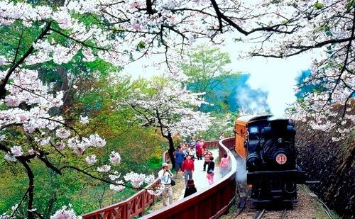 花を訪ねて旅に出よう（春夏編） : Taiwan Today