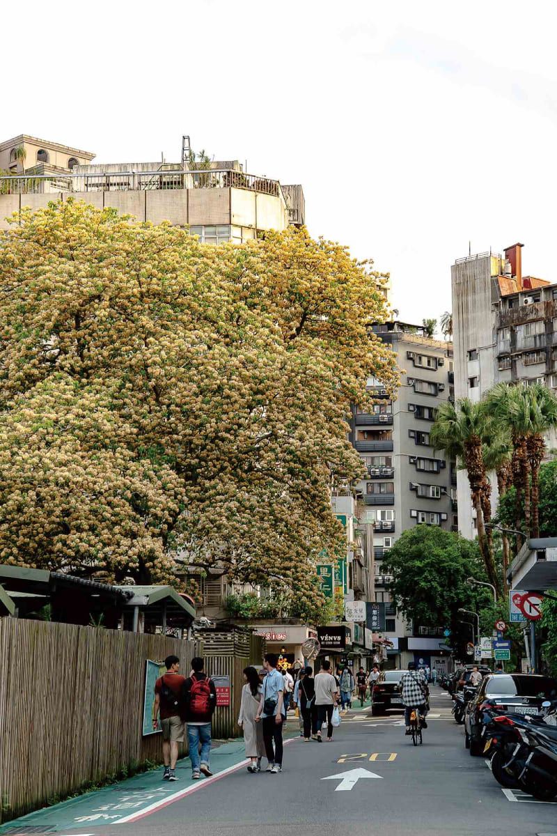#Taiwan Sensibility: The Gritty, Retro Appeal of Taiwan’s WalkupsPhotos - New Southbound Policy