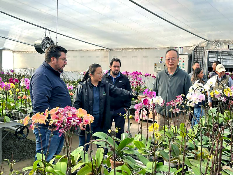 (Foto cortesía del TaiwanICDF)