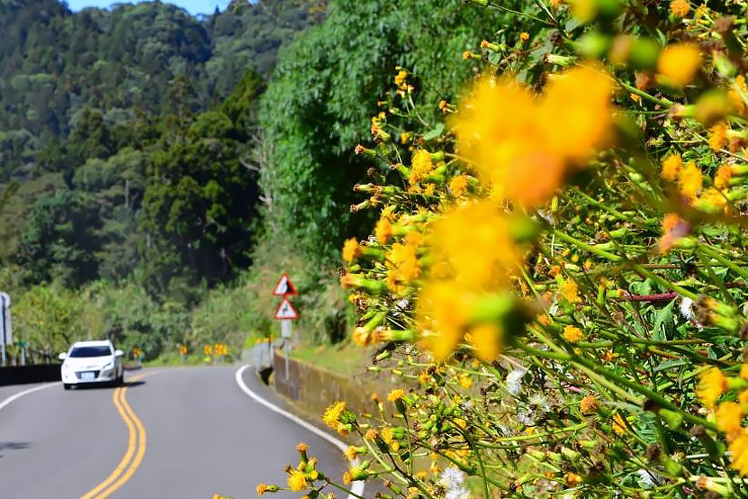La antigua carretera Suhua ofrece un escenario espectacular para eventos de ciclismo y carreras. (Foto cortesía de la Sucursal Regional del Este de la Oficina de Carreteras)