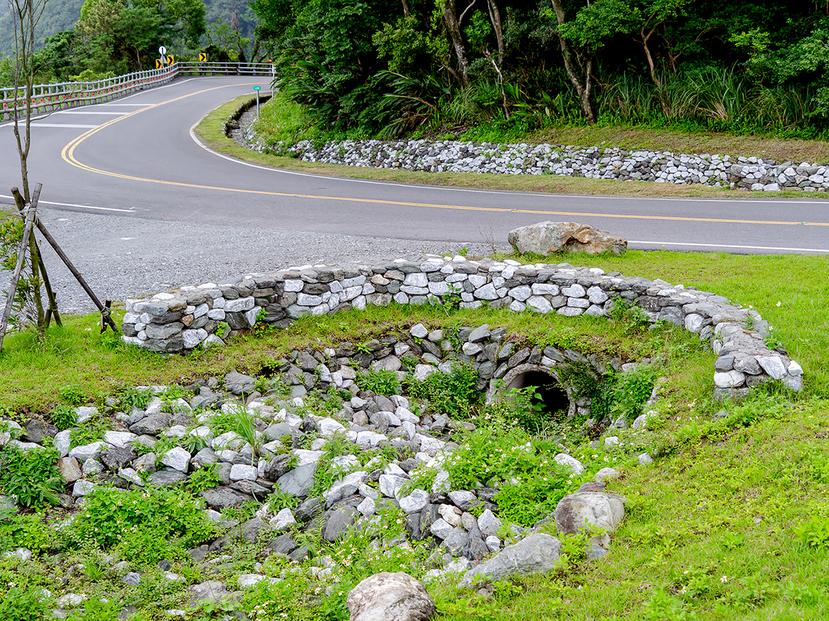Un paso subterráneo para la vida silvestre en la antigua carretera Suhua ofrece a los animales un paso seguro. (Foto de Chin Hung-hao)