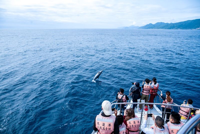 Looking for a Whale of a Surprise: The Pacific Sperm Whale π ProjectPhotos - New Southbound Policy