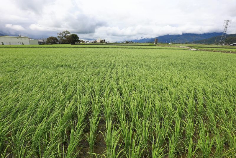 New Southbound Policy。