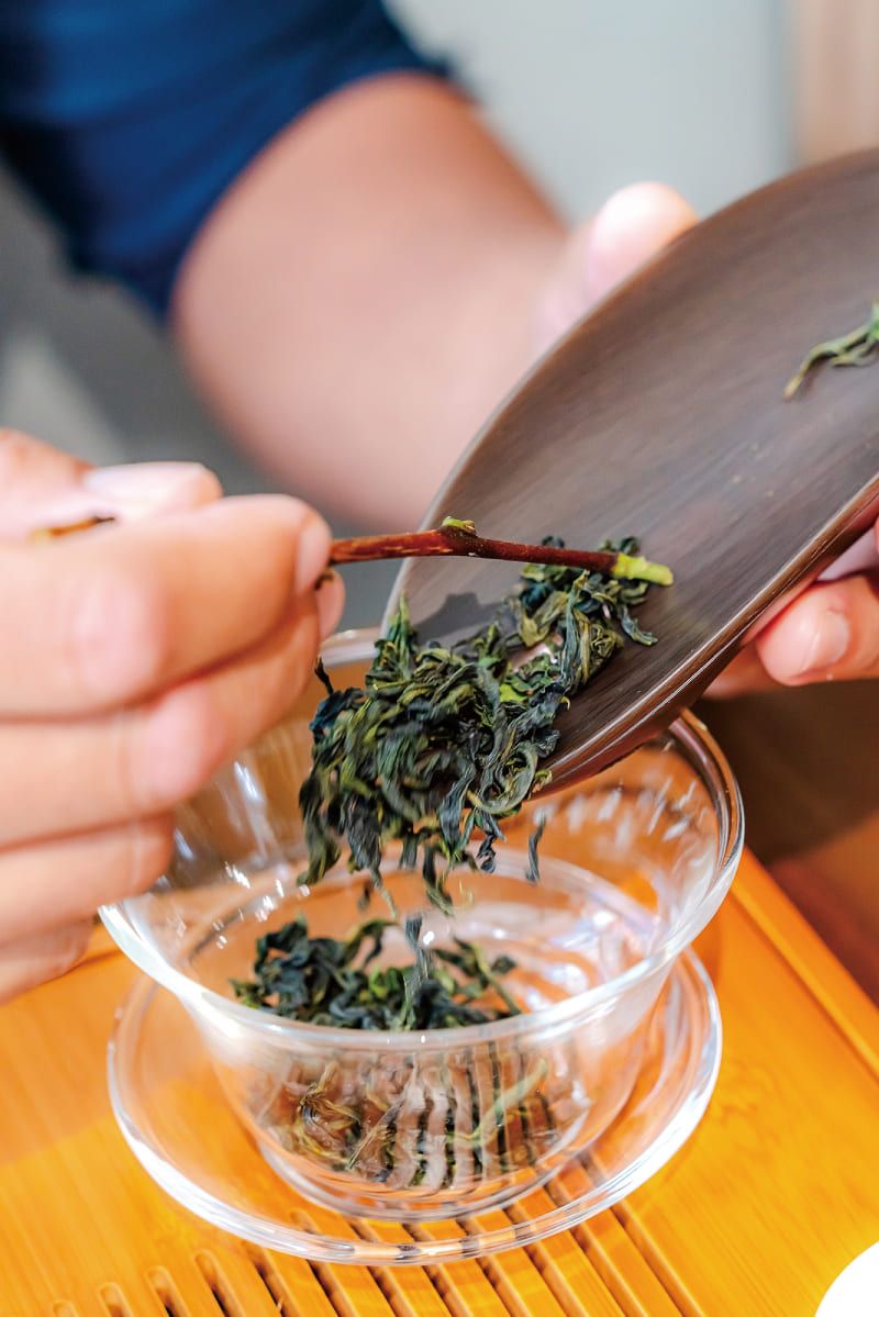 茶路新生 坪林老街的世代接力圖片 - 新南向政策