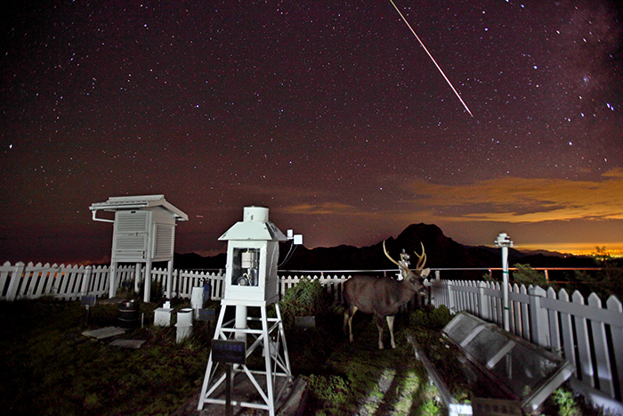 Magical moments at the weather station include a Formosan sambar deer stopping by as a meteor streaks across the sky. (Photo by Hsieh Hsin-tien)