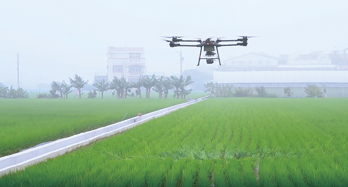 Drone technology is not weather dependent and can undertake tasks such as crop spraying no matter the conditions, increasing agricultural production efficiency. (Photo Courtesy of Chiayi County Government)