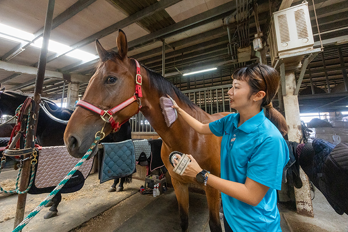 An NTMP officer cares for her mount. (Photo By Chen Mei-ling)