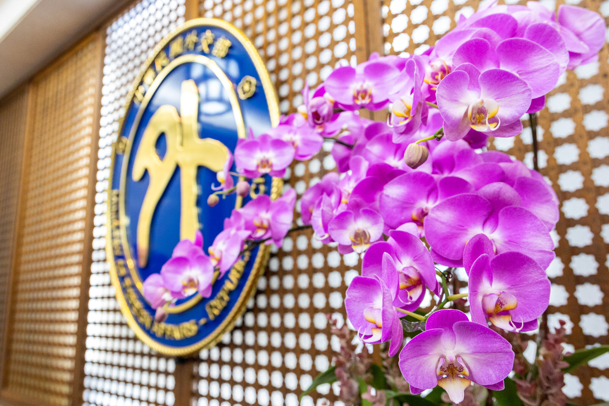 ソマリランドで初の「台湾トレードフェア」、東アフリカ諸国への