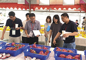The FTHEB’s fruit awards encourage high-quality produce. (Photo courtesy of TARI Fengshan Tropical Horticultural Experiment Branch)
