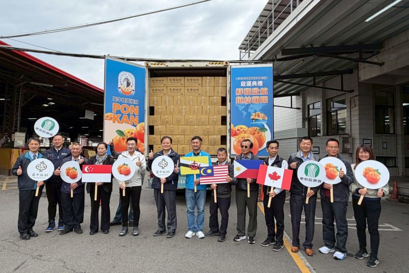 工作項目。鮮甜啟航、鏈結國際 台中優質椪柑外銷封櫃啟運　600公噸挺進多國市場