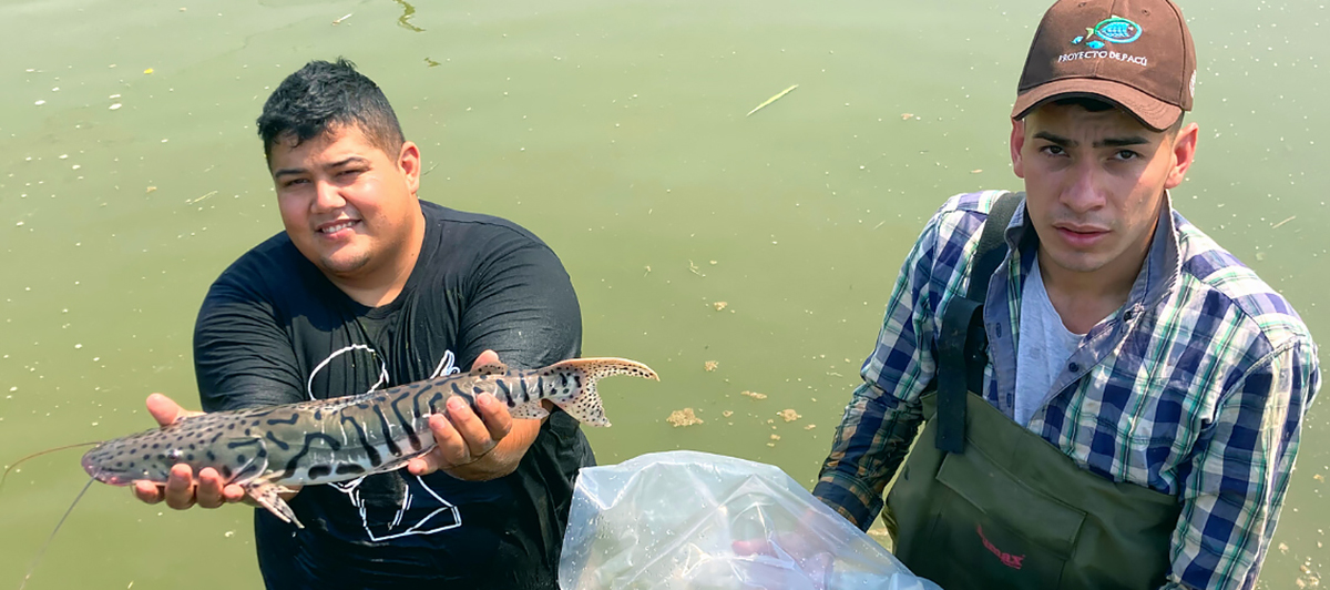 TTMs develop firm foundations for food security through pig farming in ally Kingdom of Eswatini and aquaculture in ally Republic of Paraguay  (Photo Courtesy of TaiwanICDF)