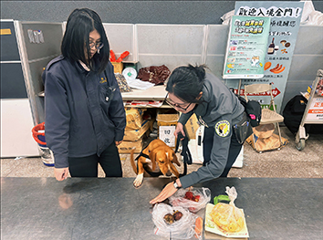 At the Taoyuan APHIA training site, beagles hone olfactory senses. (Courtesy of APHIA)