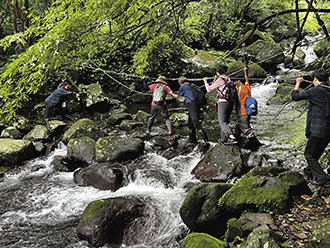 Tourists hike along a historical trail in New Taipei City’s Ankang community at Yangmingshan National Park. (Courtesy of Yangmingshan National Park Headquarters)