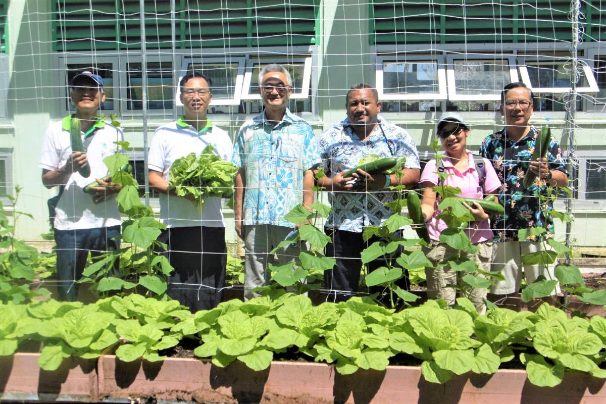 Vegetables grown at the Princess Margaret Hospital in Tuvalu through Taiwan Technical Team assistance reduce reliance on imports and offer better nutrition to patients. (Photo Courtesy of TaiwanICDF)