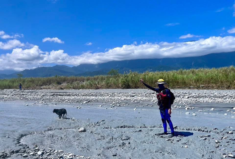 A detection dog works in the muddy silt flats of Hualien County, using scent tracking to locate missing persons. (Courtesy of National Fire Agency)