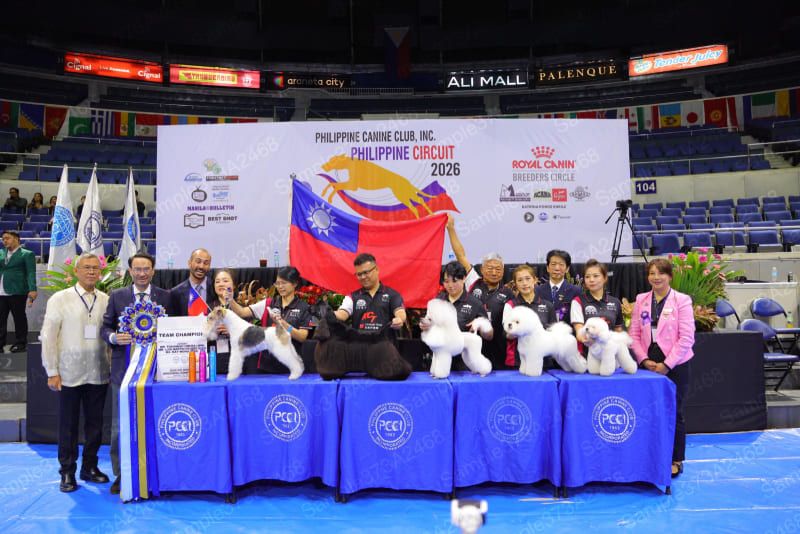 寵物美容臺灣代表隊再奪世界冠軍 展現寵物美容技術世界級實力圖片 - 新南向政策