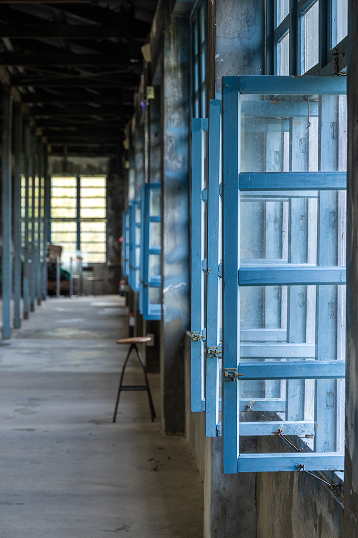 Cerulean-hued wooden shutters enable regulation of cross-ventilation during the delicate leaf withering process. (Photo By Chen Mei-ling)
