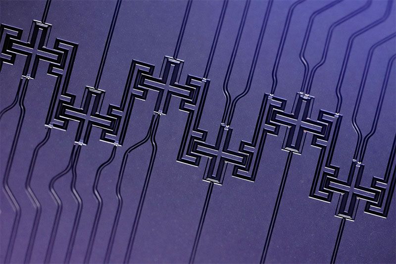 中研院發表20位元超導量子電腦 製程實力躋身全球領先行列圖片 - 新南向政策