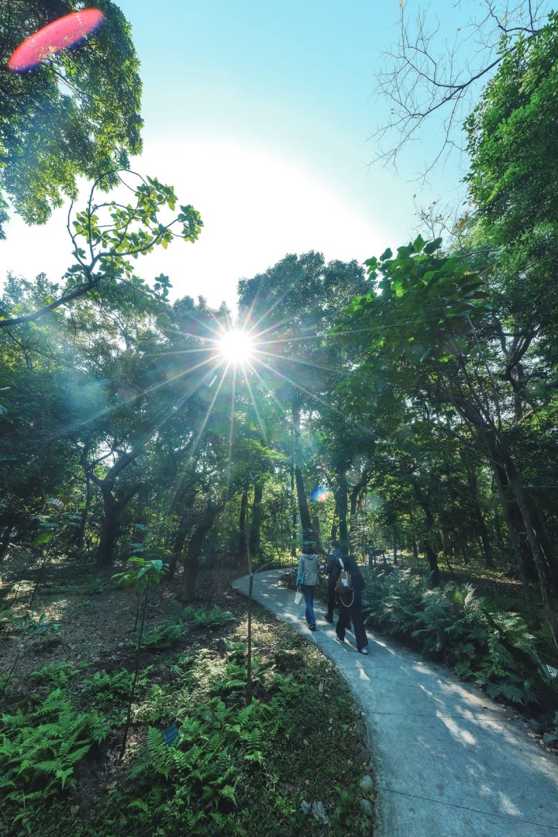 看花看草看台灣 台北植物園的時空漫步圖片 - 新南向政策