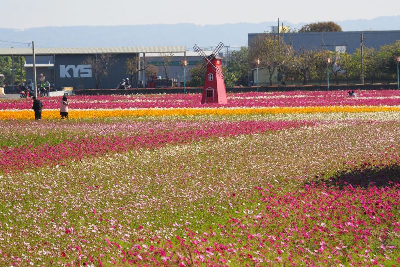 農閒不閒 秀水的農趣記憶圖片 - 新南向政策