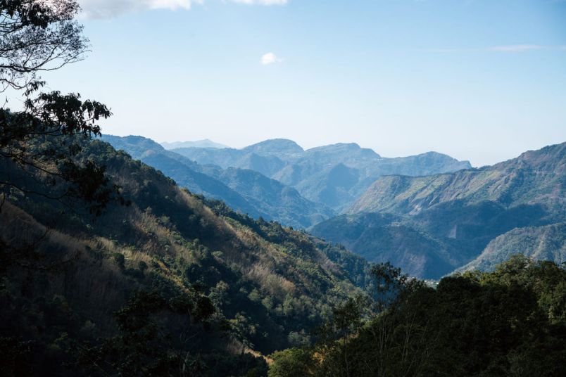 Conversations with the Forest — The Hunters of TfuyaPhotos - New Southbound Policy