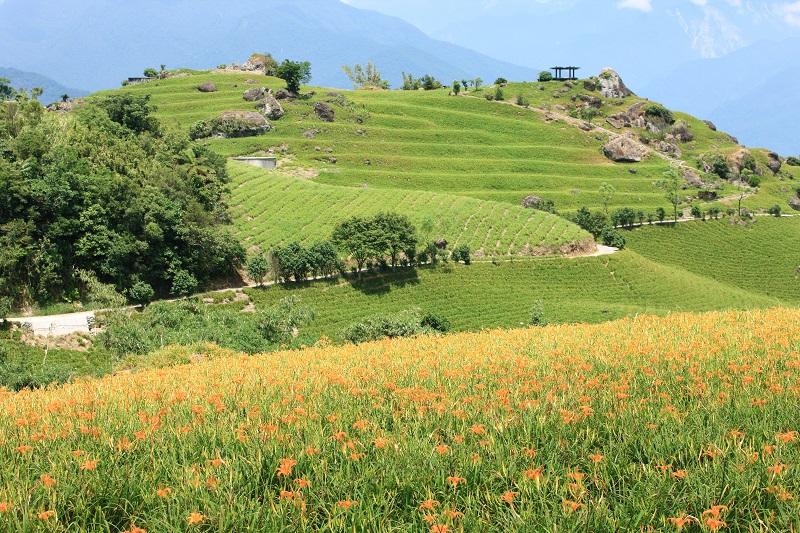 Kebijakan Menuju Asia Selatan Baru, Kembangkan Potensi Kawasan Taiwan Timur  - Portal Kebijakan Baru Arah Selatan