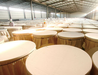 Workers monitor fermentation tanks at Biozyme Biotechnology Corp.’s manufacturing facility in Taoyuan. The firm’s enzyme supplements are produced from locally grown organic fruit and vegetables. (Photo courtesy of Biozyme Biotechnology Corp.)