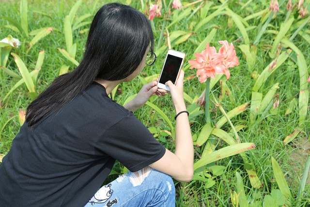 Trường Đại học Gia Nghĩa (NCYU) đã đại diện Đài Loan đăng ký tham gia chương trình “Thử thách thiên nhiên đô thị” toàn cầu 2019 (City Nature Challenge). Người dân chụp ảnh các sinh vật hoang dã được tìm thấy ở Gia Nghĩa và đăng tải lên trang web iNaturalist sẽ làm phong phú thêm nội dung kho tư liệu đa dạng sinh học toàn cầu và nâng cao tầm nhìn của Đài Loan trên trường quốc tế (Ảnh: NCYU)