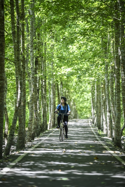 Hutan Dataran Danongdafu memiliki jalur sepeda yang baik, bersepeda di bawah pepohonan, terasa sejuk dan nyaman.