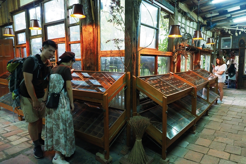 Visitors can’t tear themselves away from the seeds in the display cases.