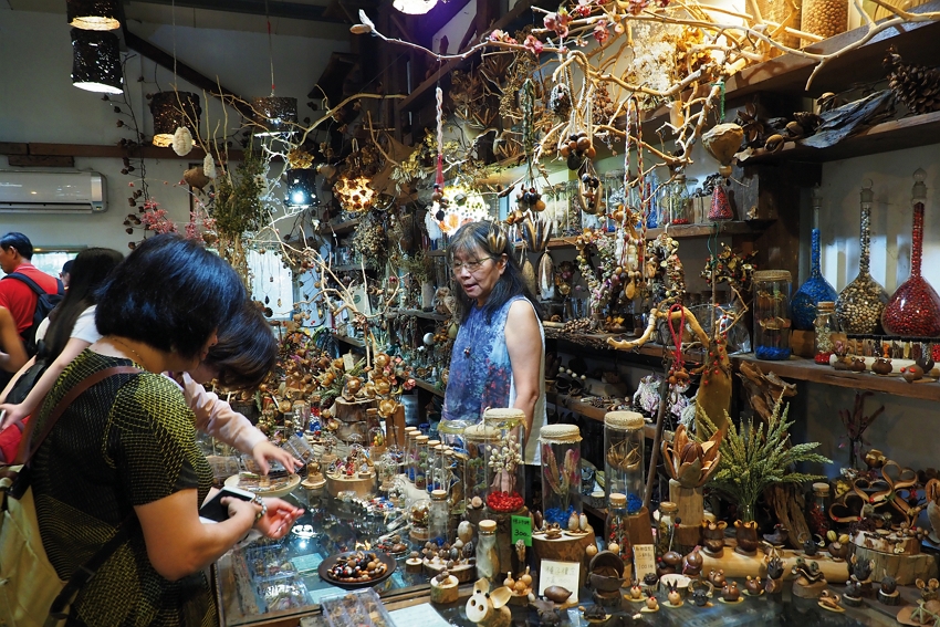 The deft hands of Zhao Yingling have turned seeds into a dazzling array of artistic and decorative products.