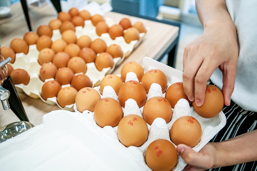 Instead of plastic, we can choose reusable paper egg boxes, which are better for the environment.