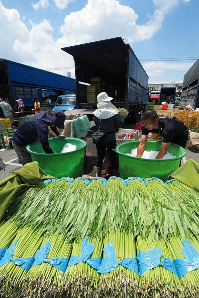 Once buyers have purchased enough produce to meet their needs, the vegetables are packed to keep them cool and trucked to destinations across Taiwan.