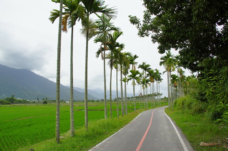 jalur ini terbagi menjadi dua bagian, yaitu jalur pemandangan air, dan jalur pemandangan gunung dengan titik keberangkatan dari Taman Chinshui, lalu menyusuri jalur Dapai dan sungai Hongshi untuk menikmati pemandangan persawahan di sebelah kiri dan kanan jalur sepeda.