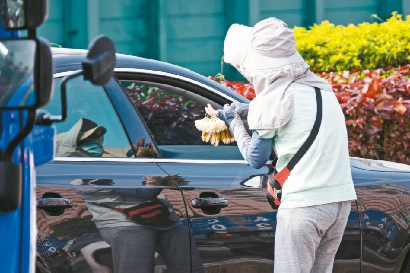 Ngày 4/5, Thủ tướng Tô Trinh Xương đã tuyên bố tăng cường cứu trợ cho 2 nhóm đối tượng: Một là những người có việc làm nhưng không tham gia đóng bảo hiểm, ví dụ như người giương biển quảng cáo, người bán hoa ngọc lan, người bán hàng lưu động (ảnh), người làm tự do, v.v…, tổng cộng khoảng 340.000 người. Nhóm thứ hai là khoảng 1,4 triệu nông-ngư dân, mỗi người được nhận trợ cấp 10.000 Đài tệ (Ảnh: CNA)